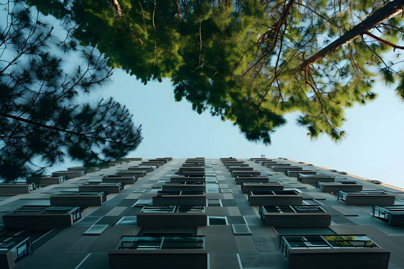 the camera looks up at a building and a tree, describing elements of BASIX