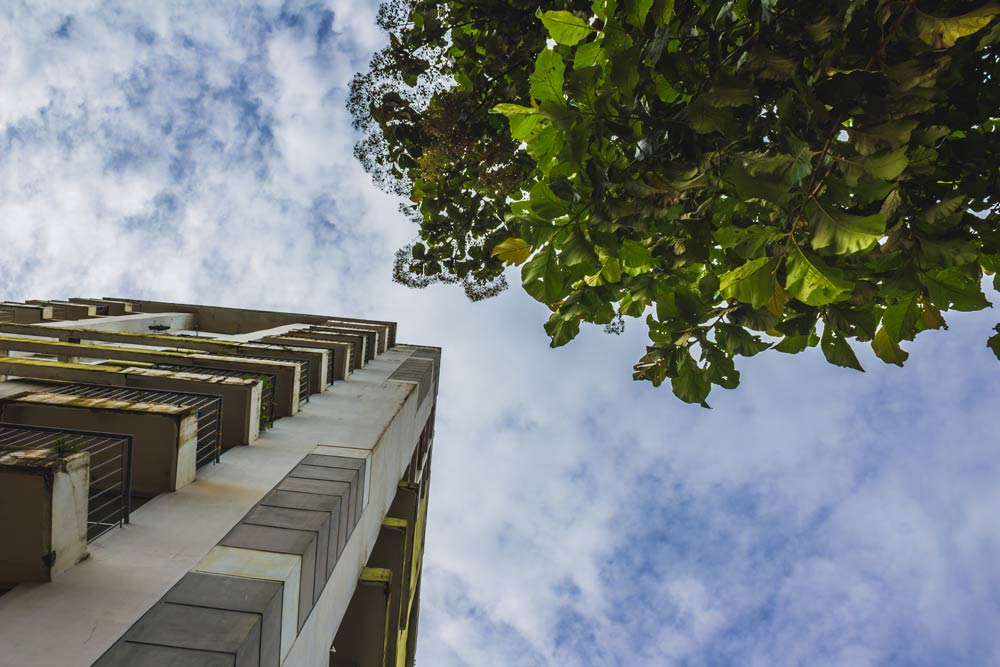 photo of a building and a tree, illustrating sustainaible building and BASIX